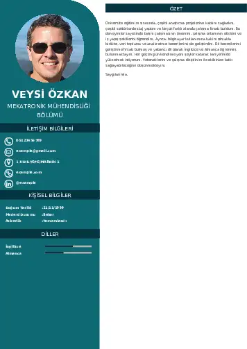 Mekatronik Mühendisliği Cv Örnekleri cv indir